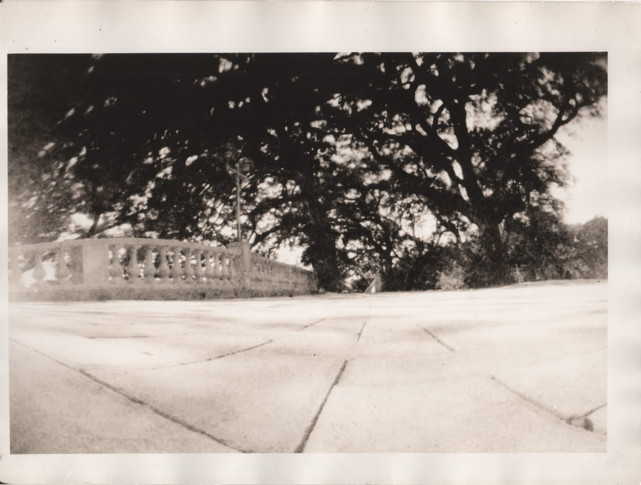 Фото-альтернатива. Данил Андреев, мультидисциплинарный художник, Санкт-Петербург