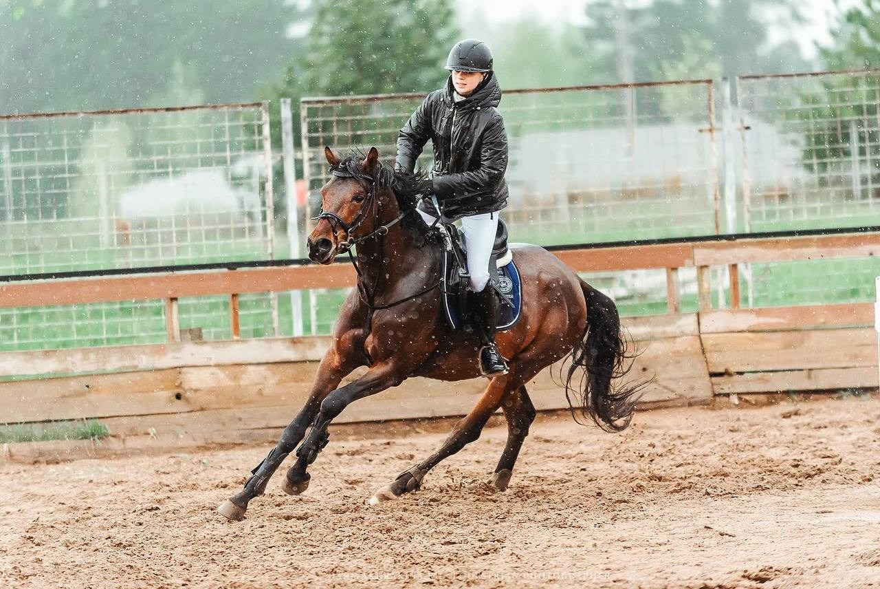 Весенний Кубок по конкуру КСК «Созвездие». Конный фотограф Куракина Дарья • Фотосессии с лошадьми