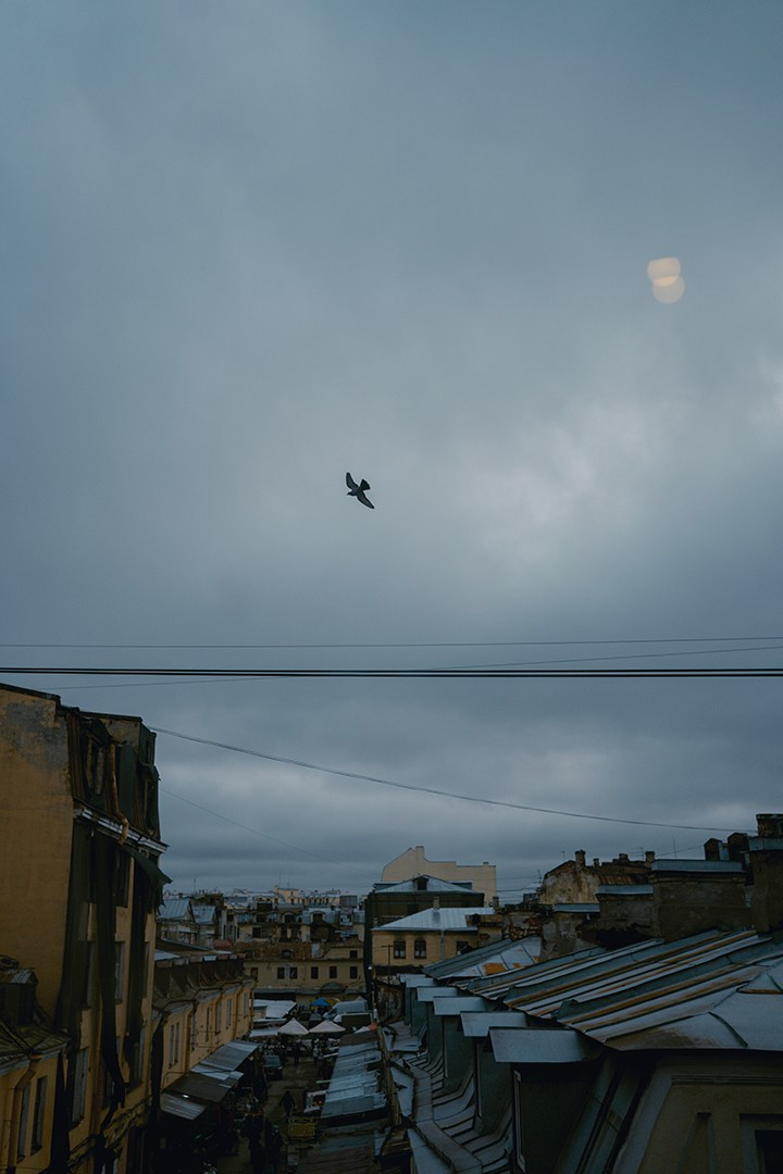Питер февраль. Портретный фотограф в Москве Колосова Екатерина