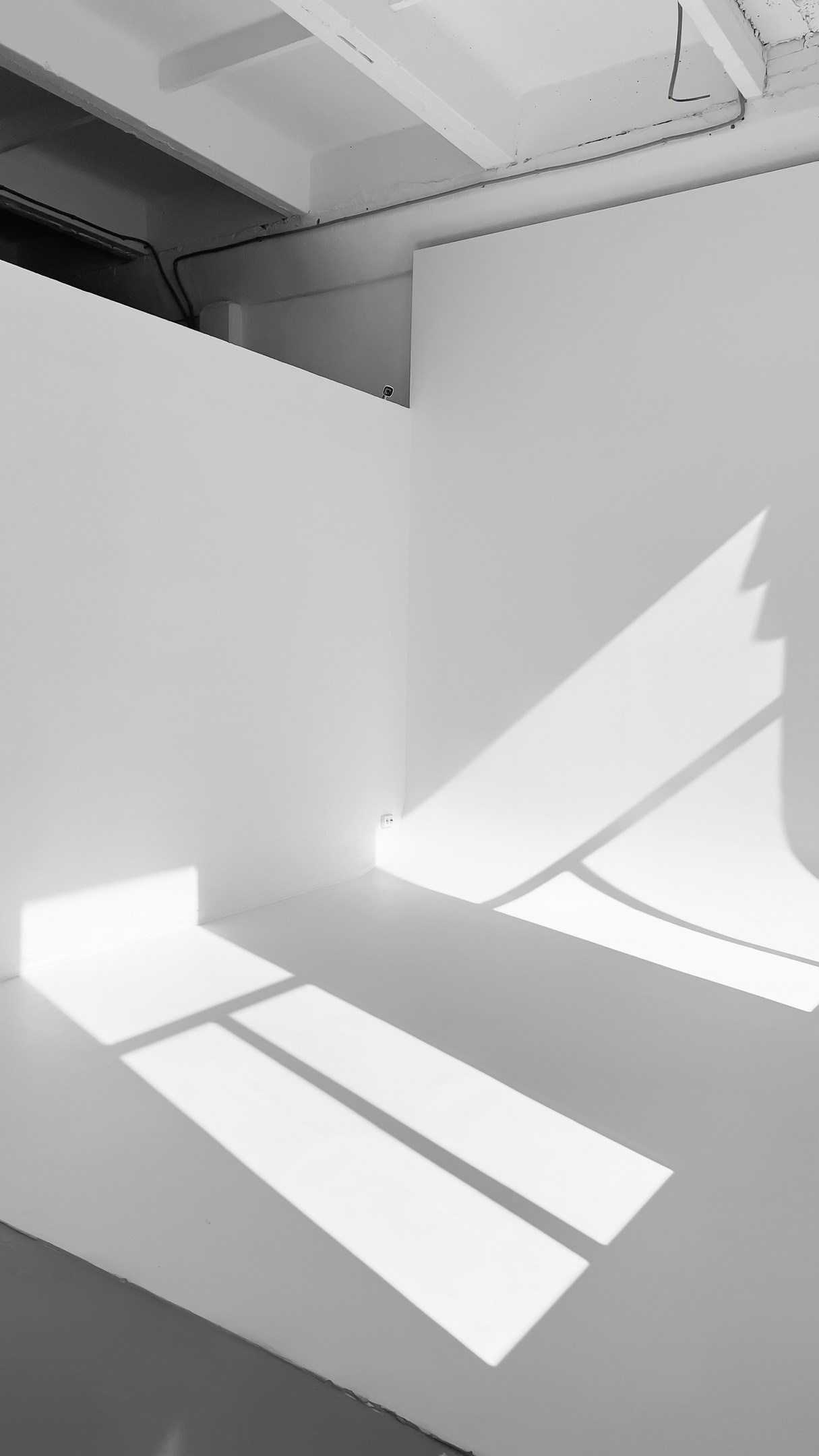 Лучшие фотостудии Липецка. Свадебный и семейный фотограф в Липецке Натали Бриз