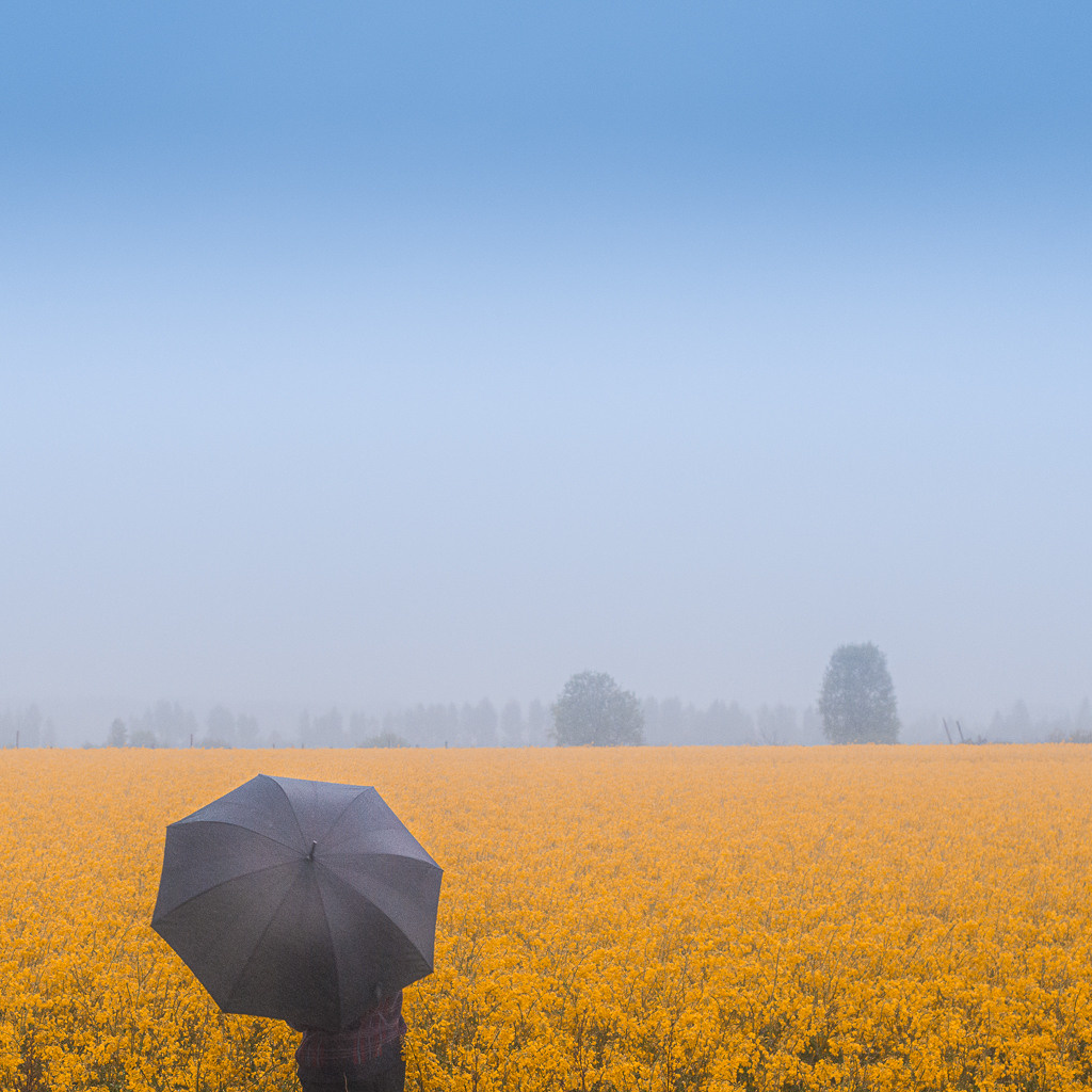 Наивно. Потрясающе. ALEXEY KRYLOV | Photography