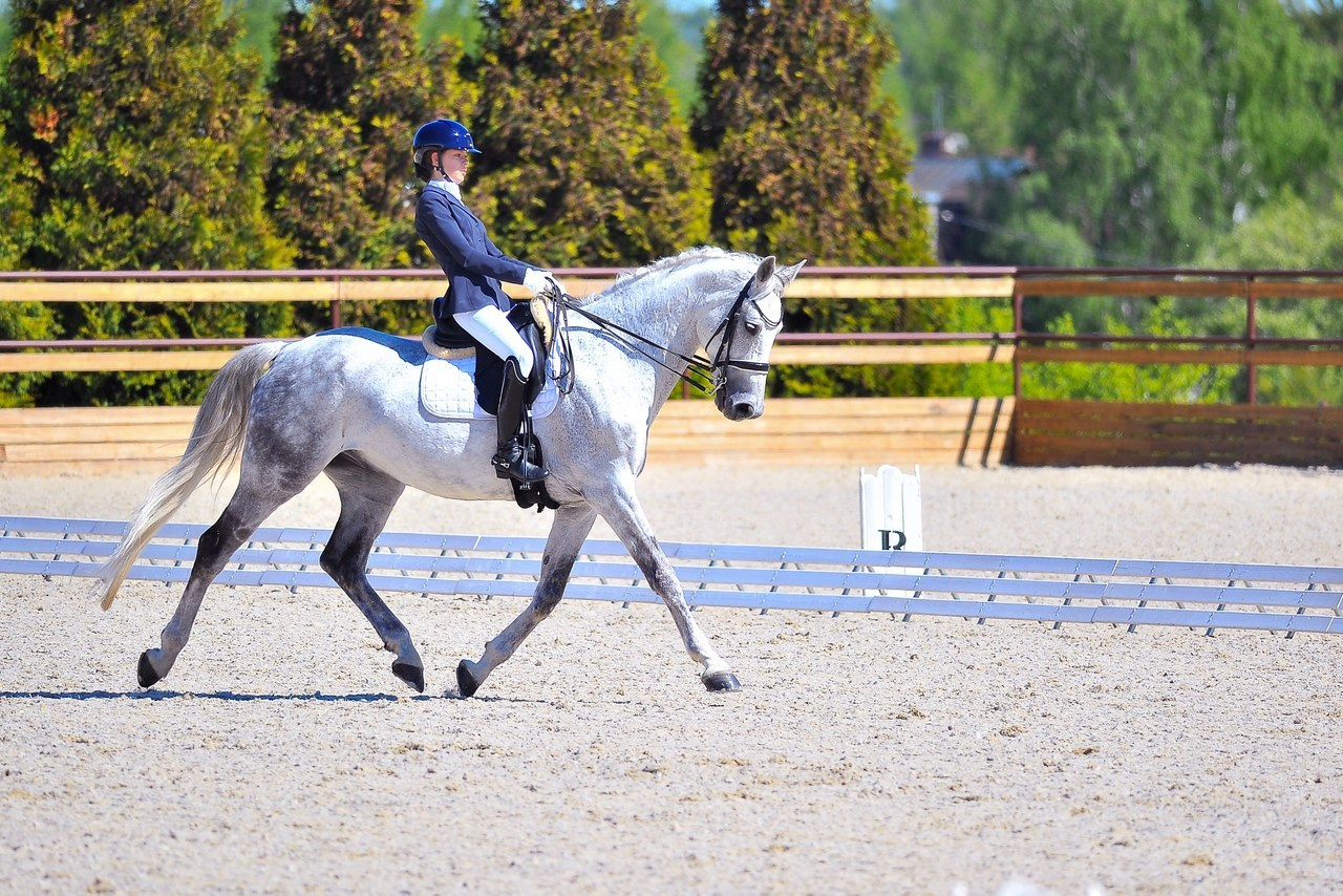 Отзывы. ТУРНИРНАЯ КОННАЯ ФОТОГРАФИЯ, Руднева Ольга и Евгений Адеев