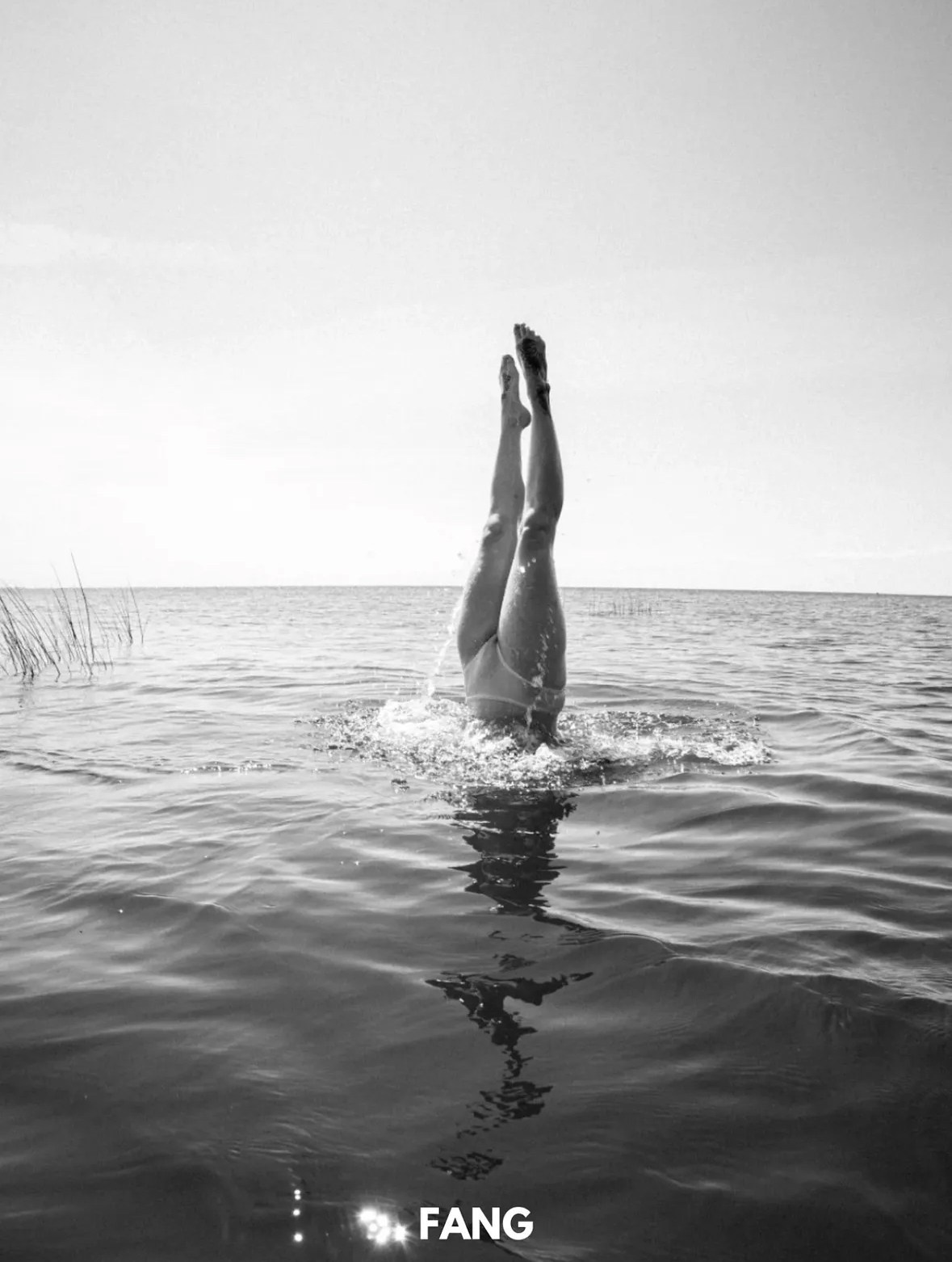 FANG. Арт-фотограф Кристина Каширская