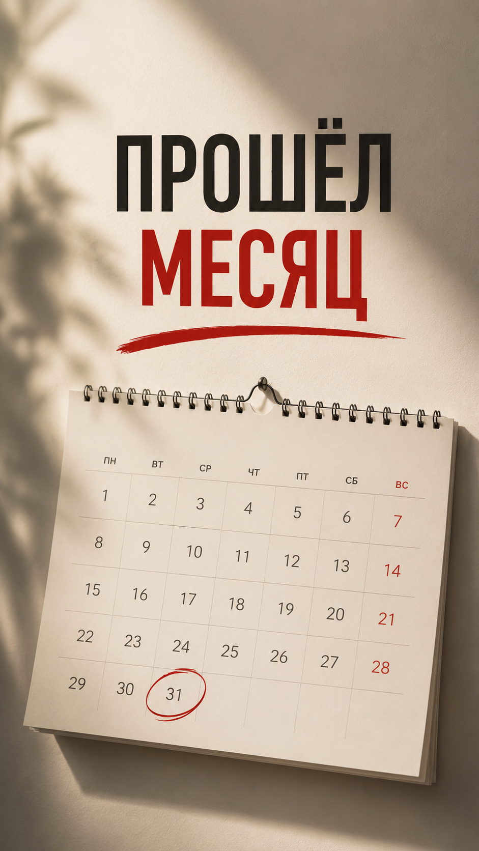 Полиграфия. Портретный, свадебный, репортажный фотограф во Владивостоке Юлиана Джули Фокс