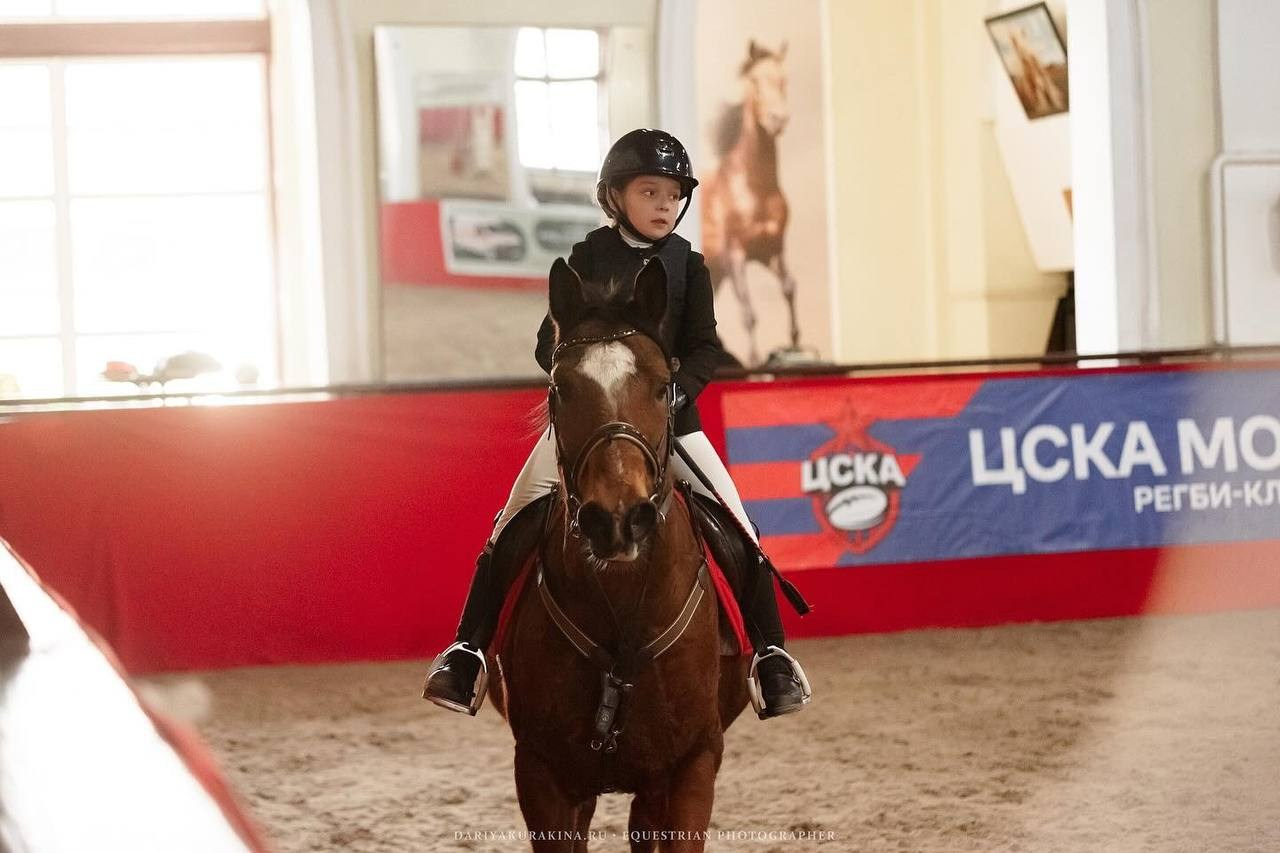 «КУБОК ИМЕНИННИКА» КСК «Измайлово». Конный фотограф Куракина Дарья • Фотосессии с лошадьми