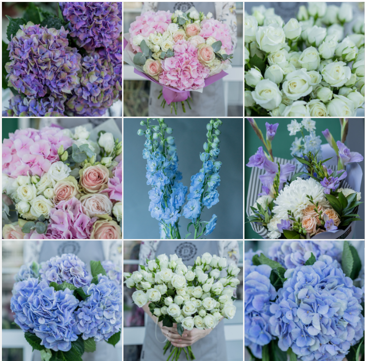 Pascal Flowers. Photographer in Montenegro — professional photoshoots