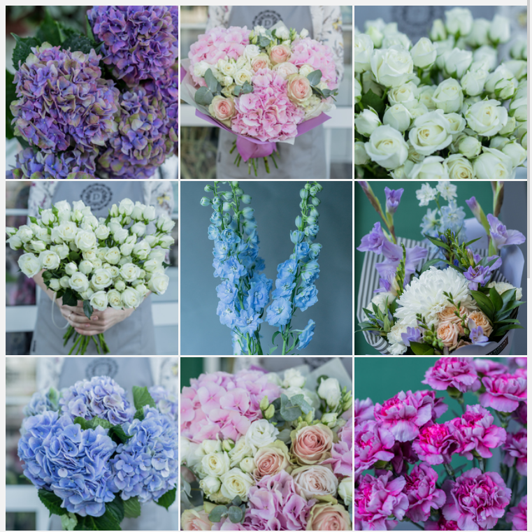 Pascal Flowers. Photographer in Montenegro — professional photoshoots