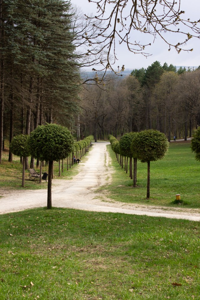 Кавказ. Детский и семейный фотограф в Екатеринбурге Екатерина Гильманова
