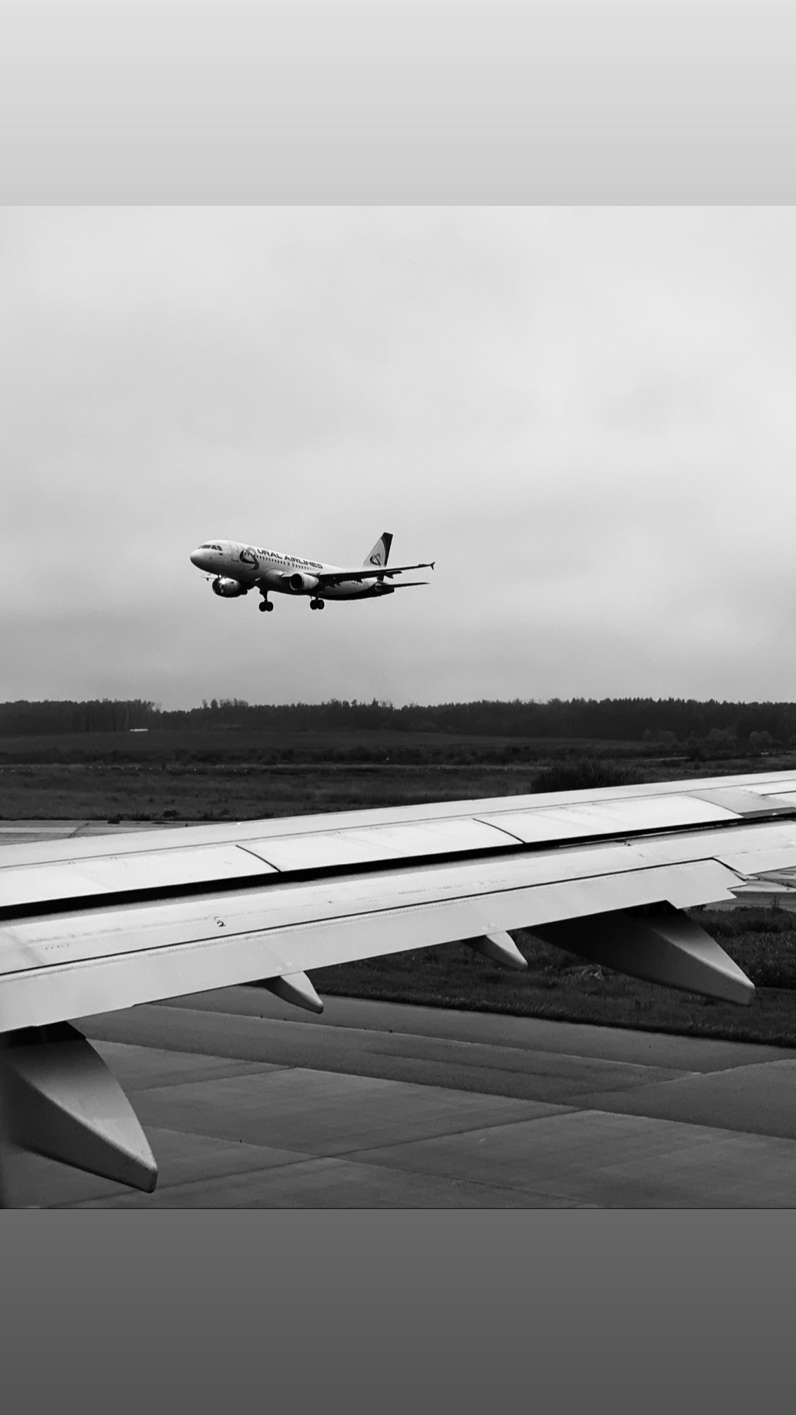 Работы с телефона. Свадебный фотограф в Москве Сафонова Анна