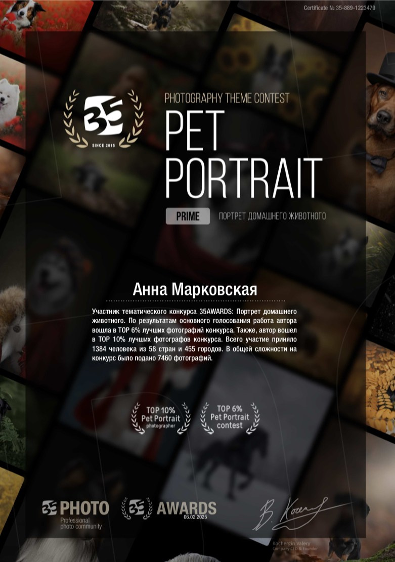 Достижения. Детский и семейный фотограф в Санкт-Петербурге Анна Марковская