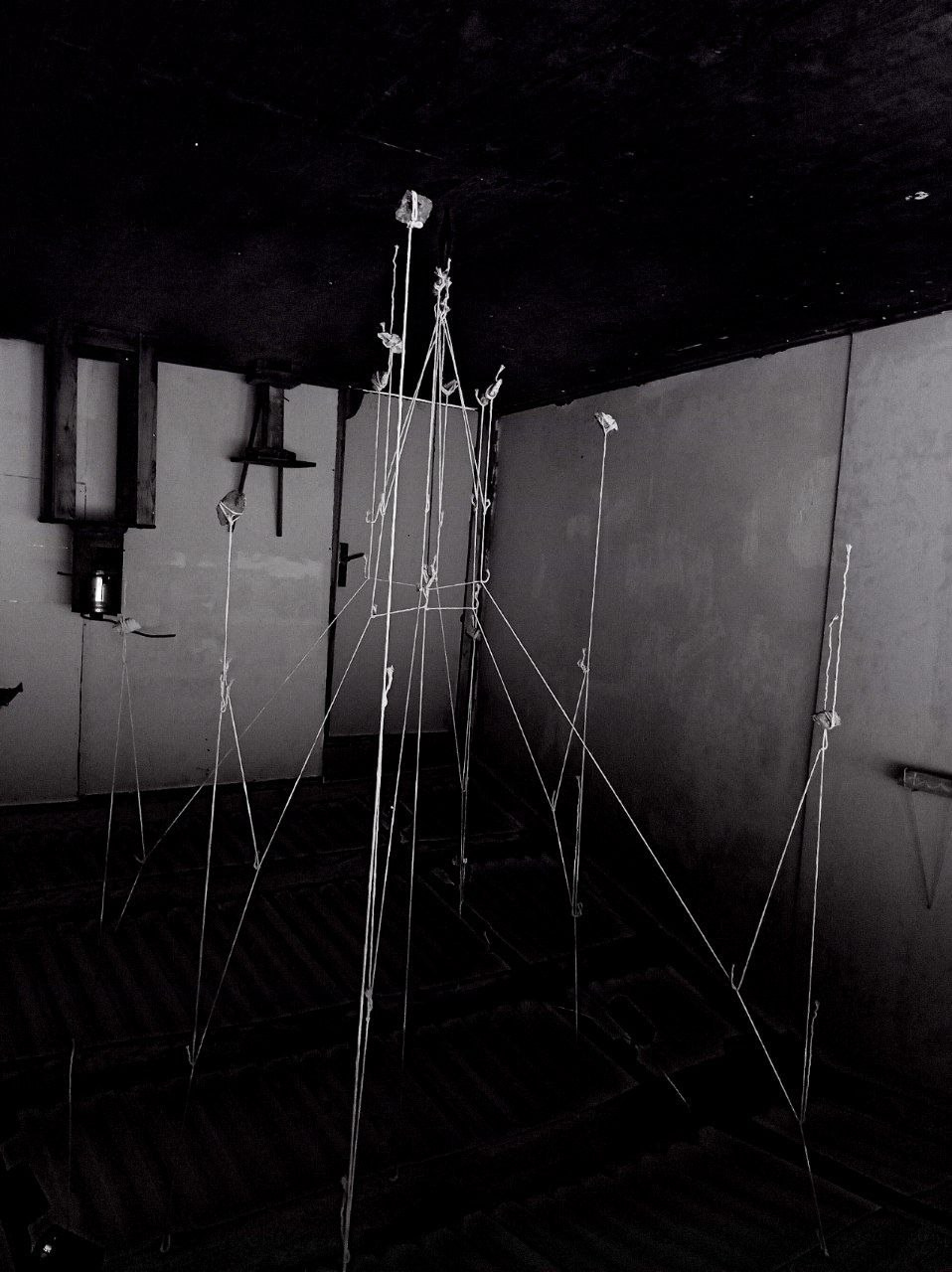 Язык птиц. Данил Андреев, мультидисциплинарный художник, Санкт-Петербург