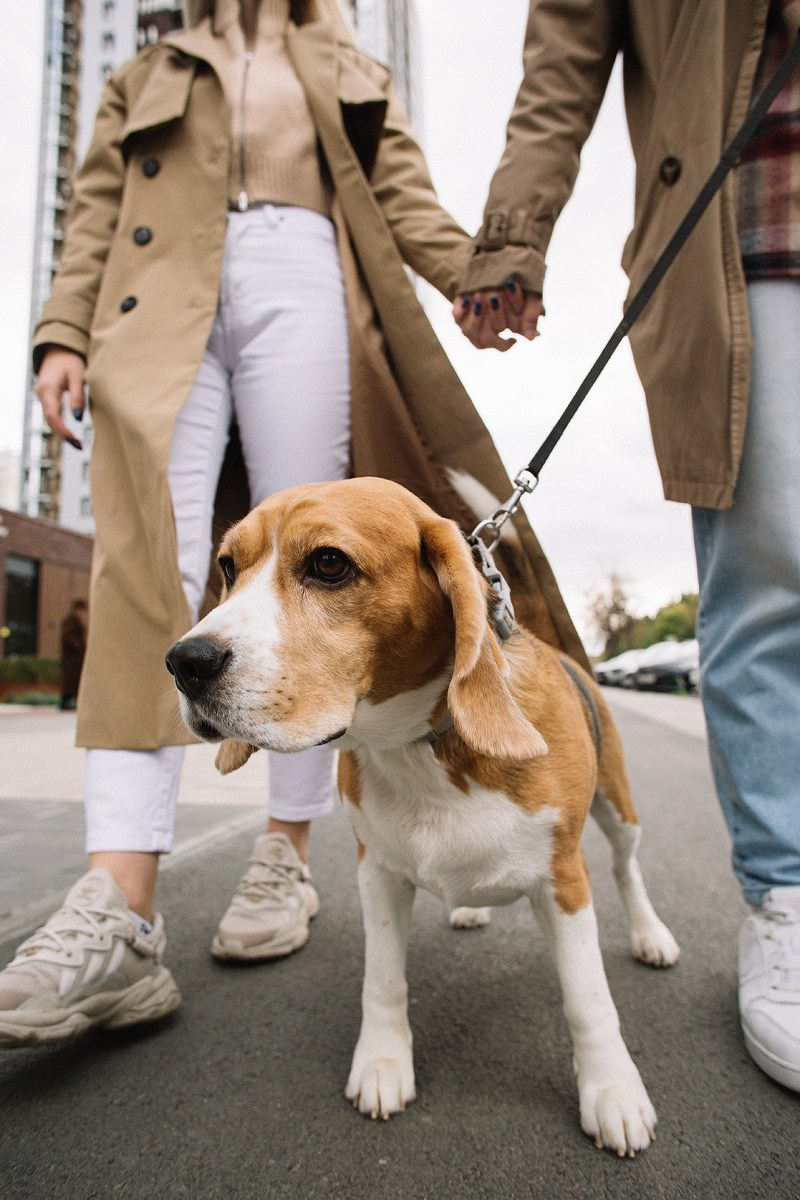 Алексей и Настя. Свадебный фотограф Челябинск, Екатеринбург, Курган — Виктор Слуднов