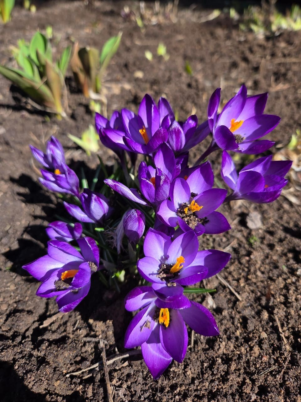 Территория экофермы Марии Гиппенрейтер. Эко отель Подмосковье. Эко отдых в Подмосковье в эко-отеле Марии Гиппенрейтер