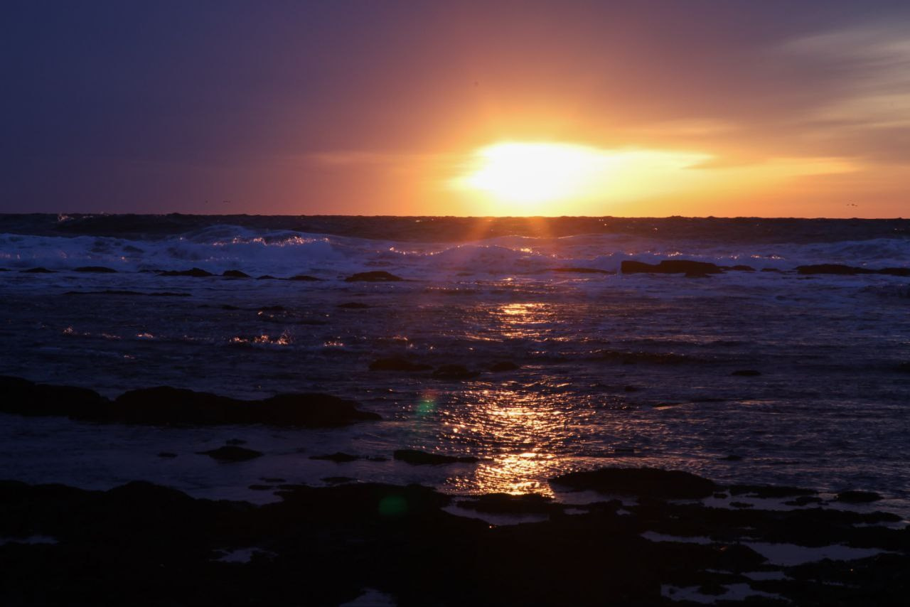 Природа. Фотограф в Южно-Сахалинске Гусаков Евгений