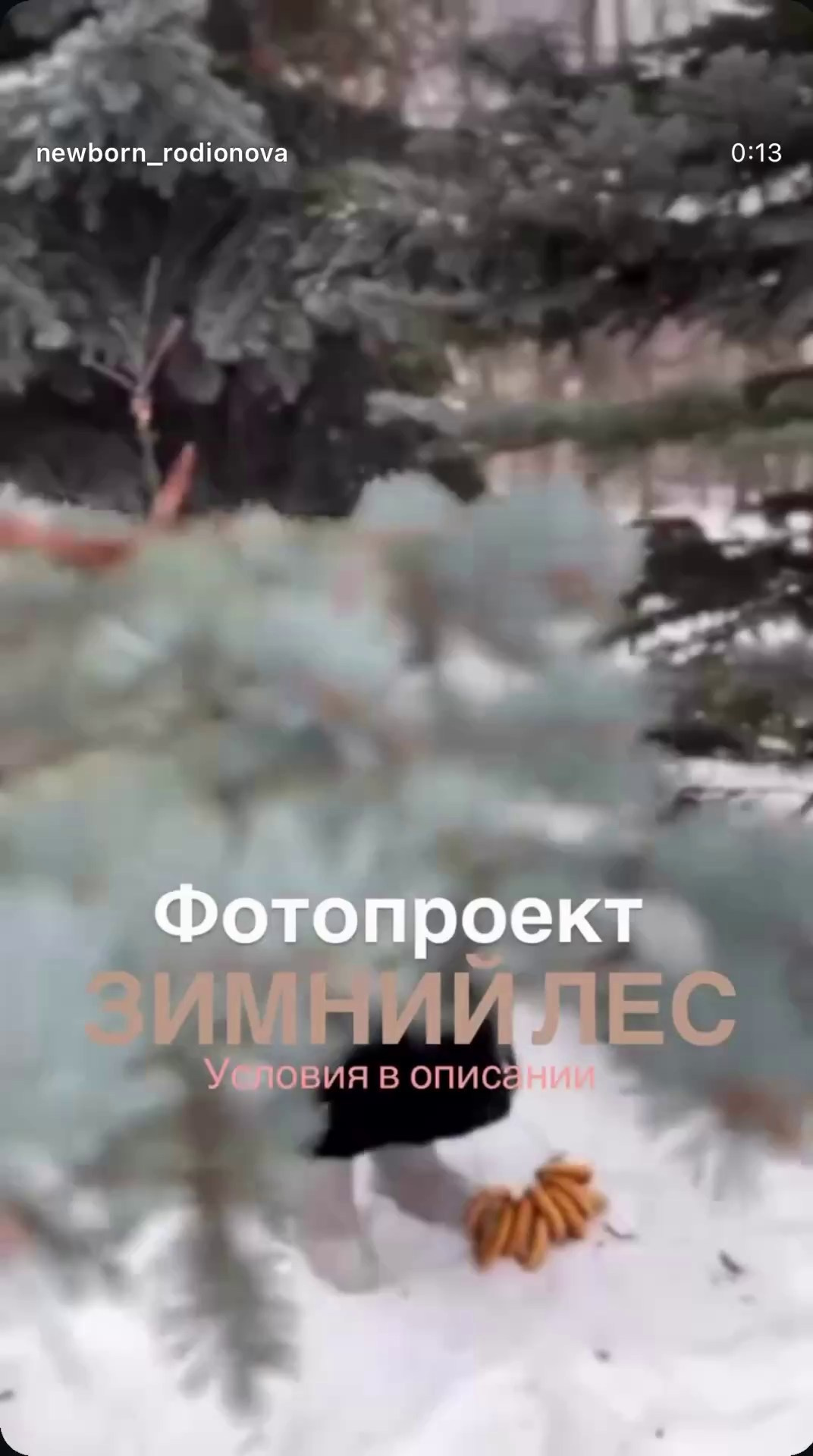 Фотопроект «Зимний лес». Семейный и детский фотограф новорожденных Ульяновск