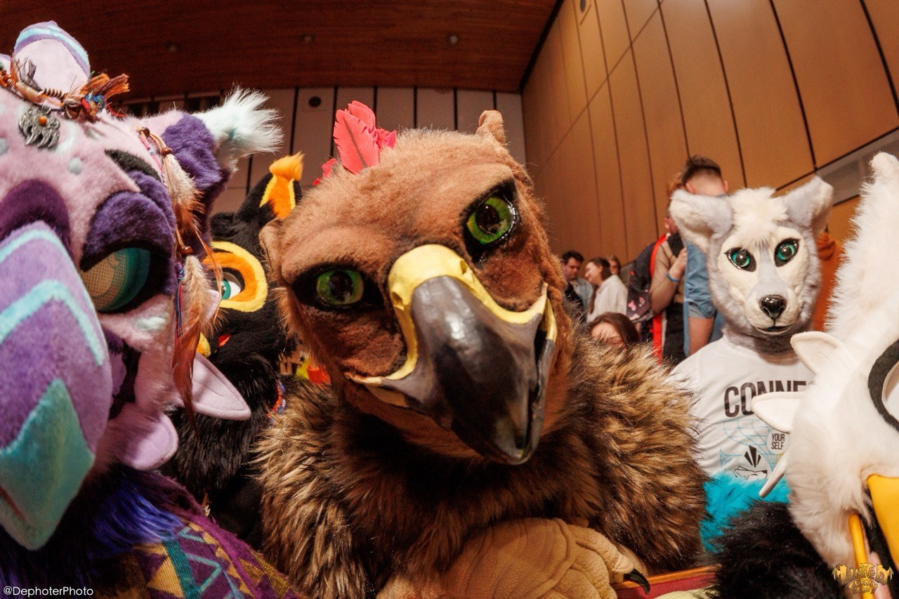 United Furry Convention 2026. Различные мероприятия и просто фотографии людей