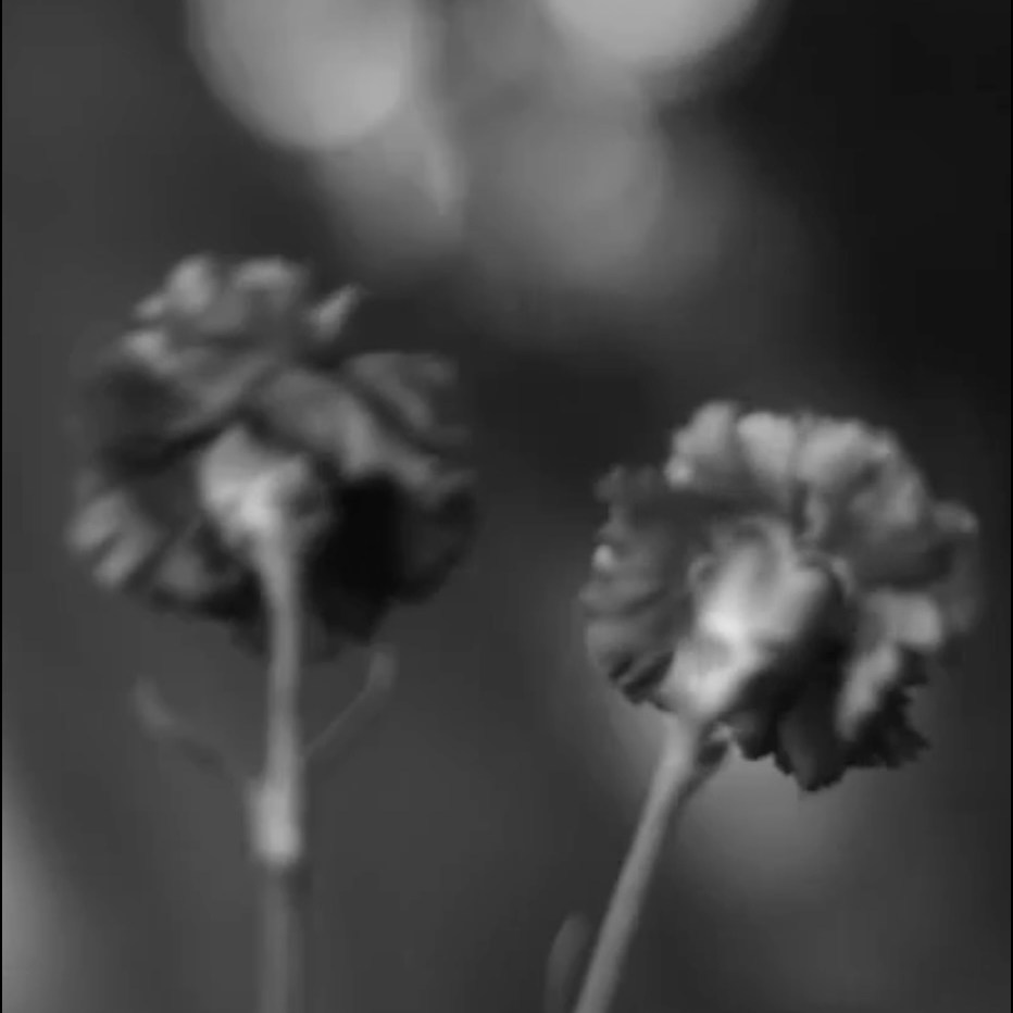 Ничего не было видно и приходилось прислушиваться. Художественная группа «Нежные Бабы»