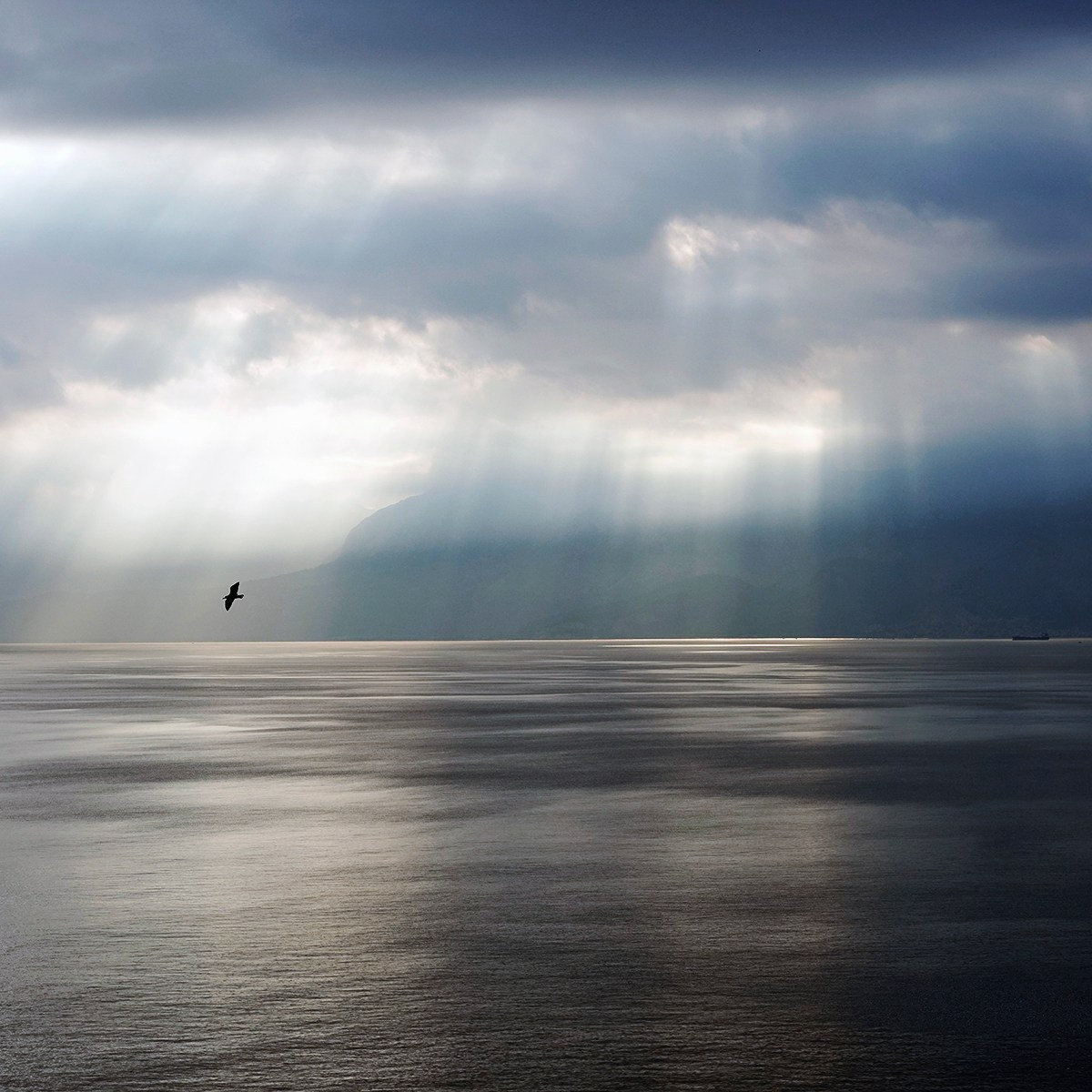 See. Vasiliy Riabovol — Fine Art Photographer | Time, Space, and Silence