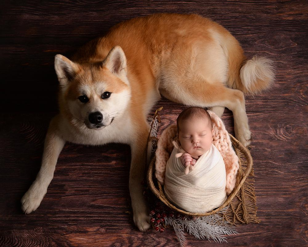 Портфолио newborn. Фотограф новорожденных в Москве Воробьева Юлия