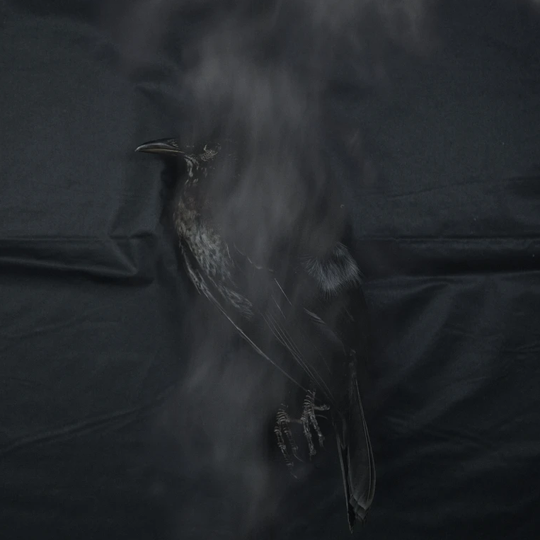 Проект Яниса Гогоса (Giannis Gogos) «In the Twinkling of an Eye». Private image