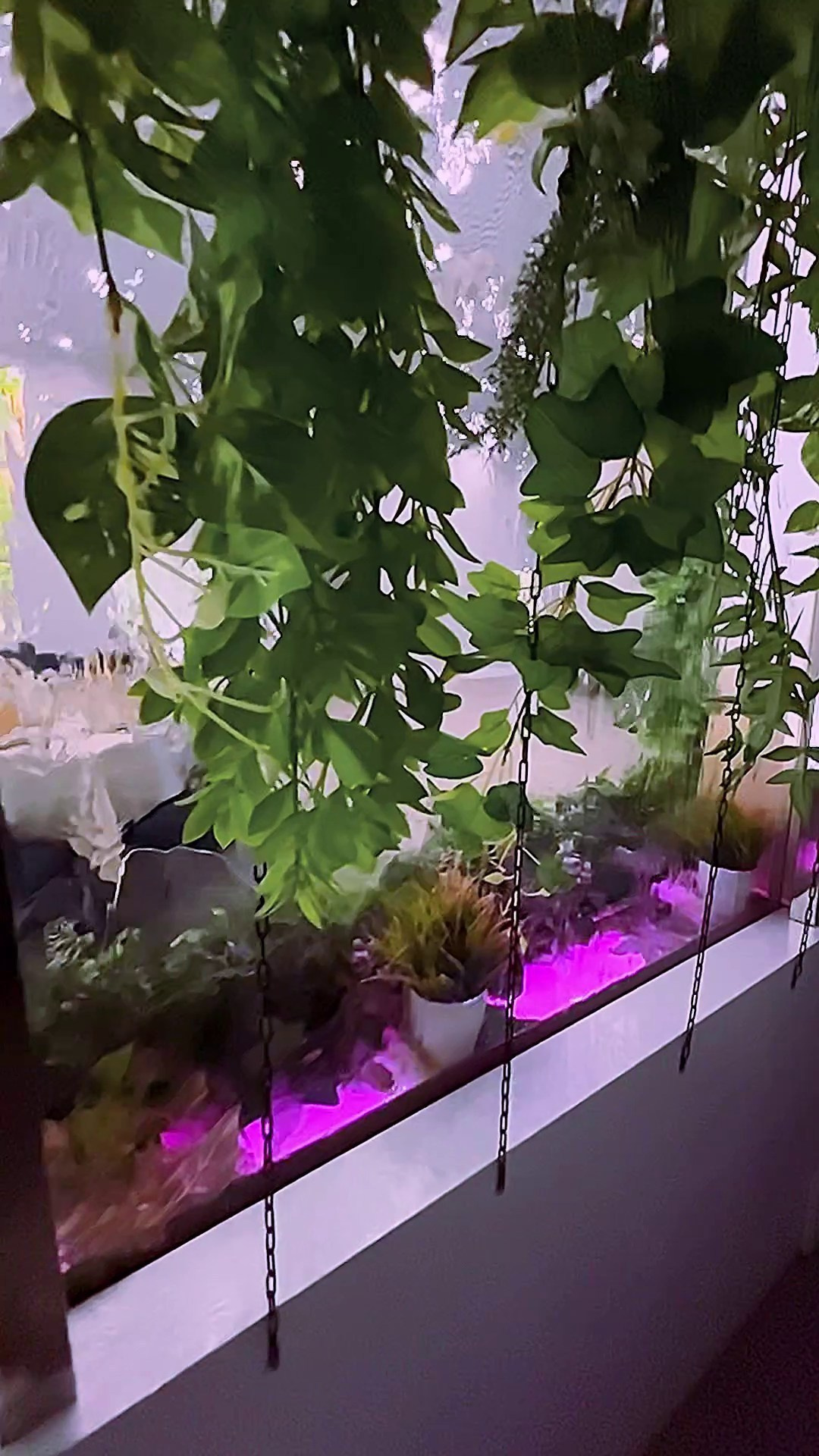 Отзывы. Фотограф и видеограф в Ставрополе Инна Попова