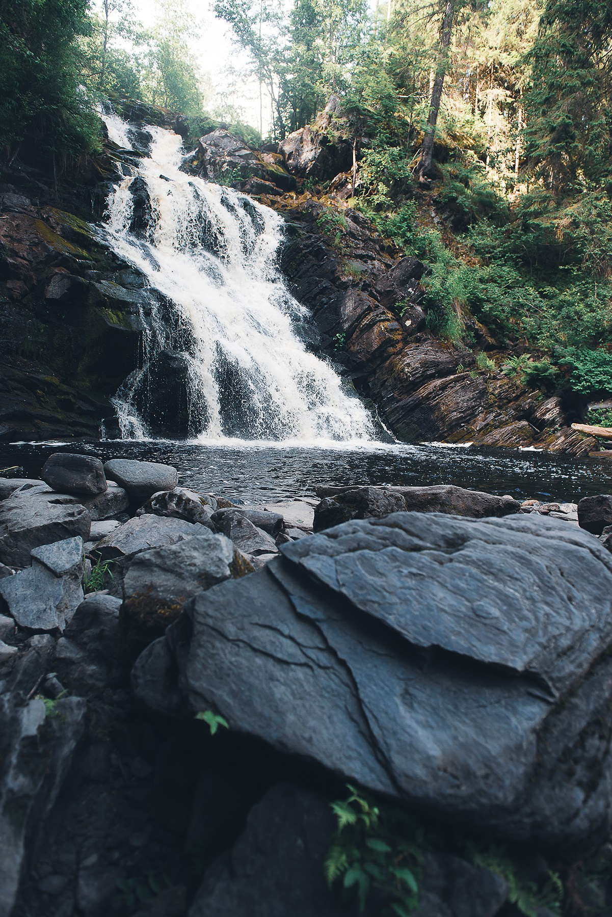 Карелия. Фотограф-анималист Наталья Светличная