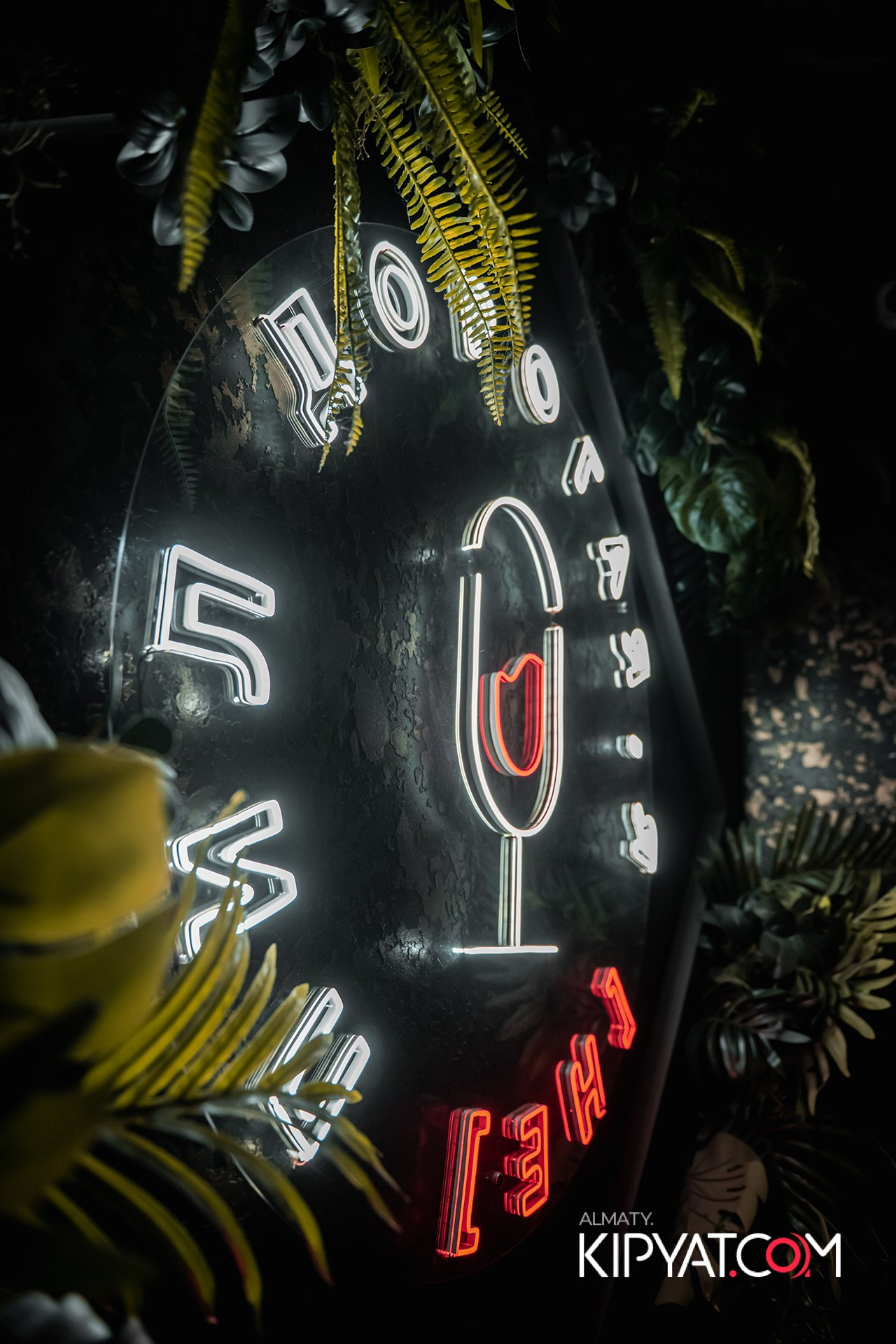 ДОРОГАЯ, Я НЕ ПИЛ. КИПЯТКОМ АЛМАТЫ!