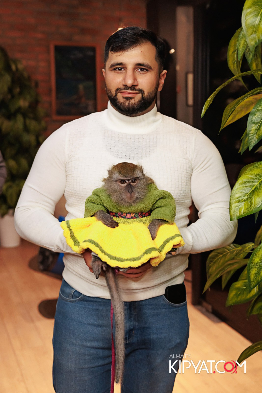 MYATA LOUNGE НА МЕНДИКУЛОВА 6 ЛЕТ. КИПЯТКОМ АЛМАТЫ!