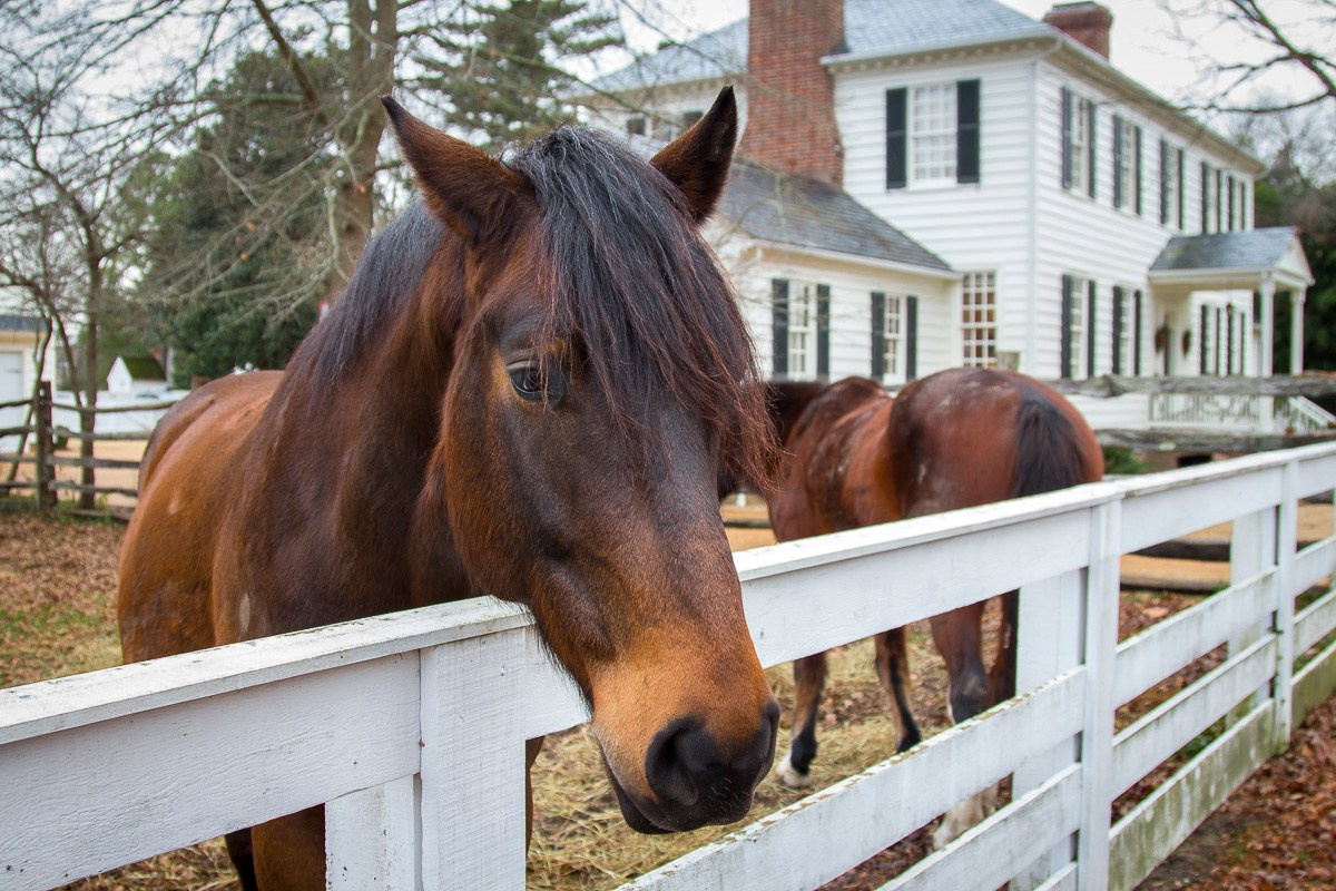 Колониальный Вильямсбург, США, 2015. Фотограф Василий Буланов