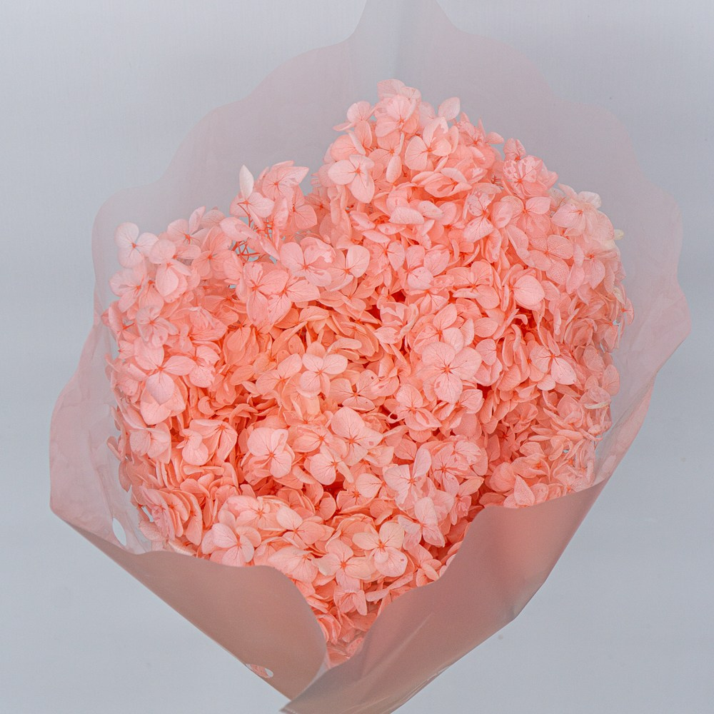 Сухоцветы. Фотограф в Екатеринбурге Яна Круташова