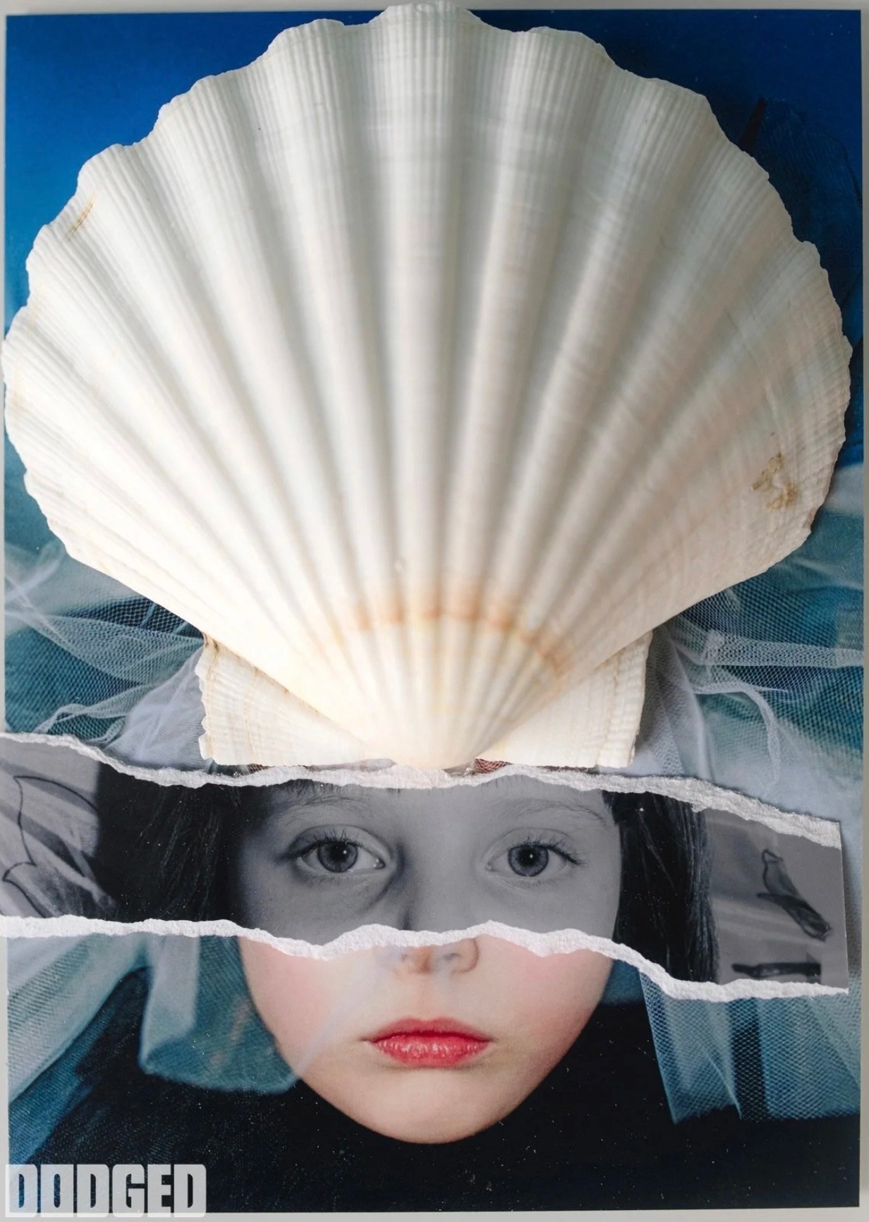 DODGED. Фотографии Лены Соколовой