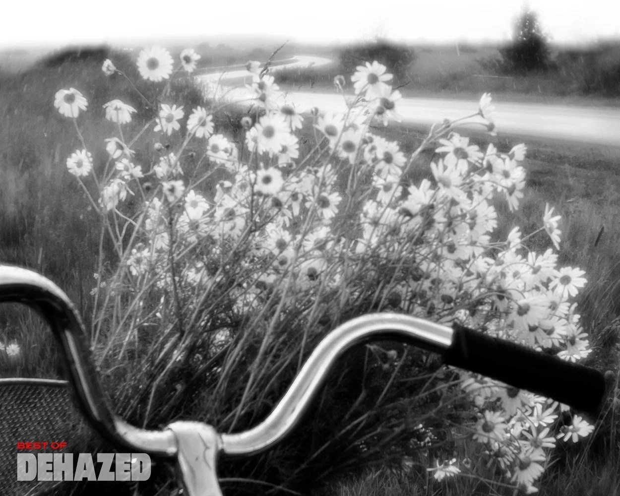 DEHAZED. Фотографии Лены Соколовой