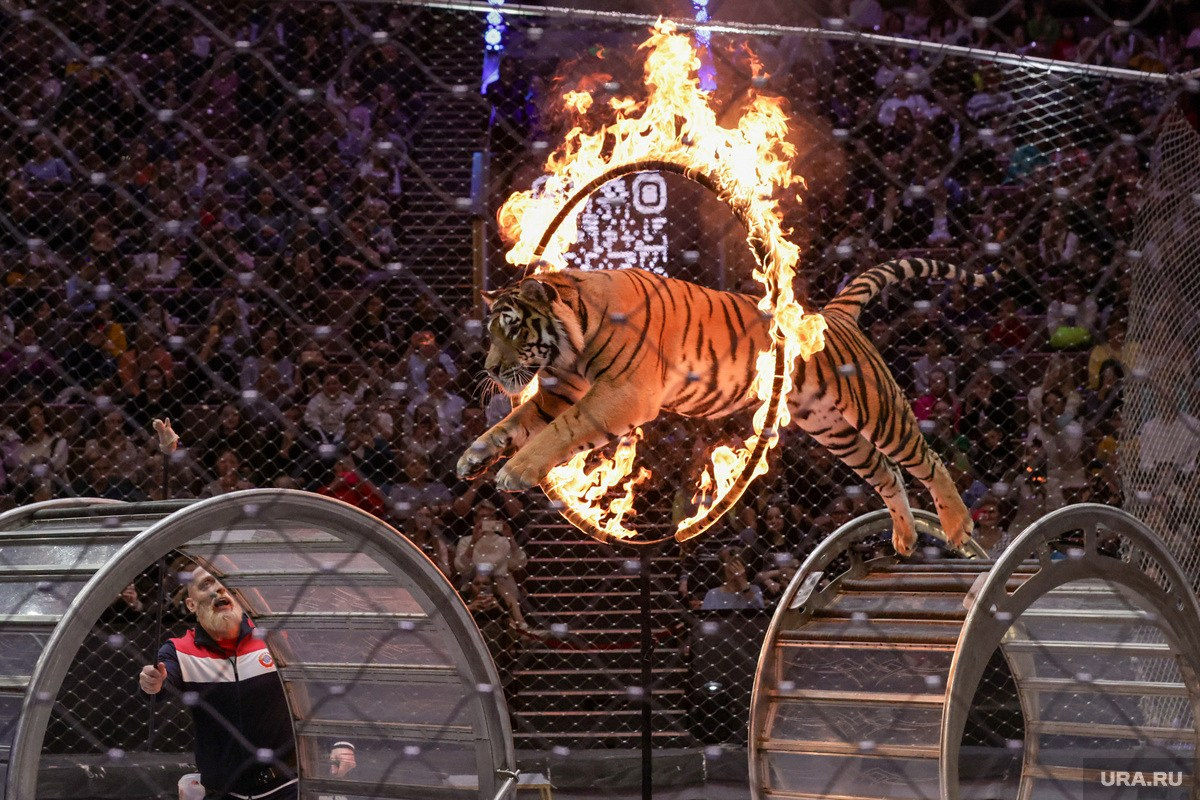 События, происшествия, повседневная жизнь. Роман Наумов профессиональный фотограф