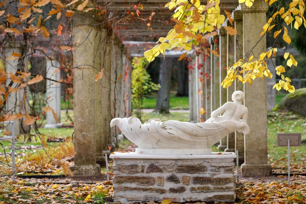 Локации в Петергофе