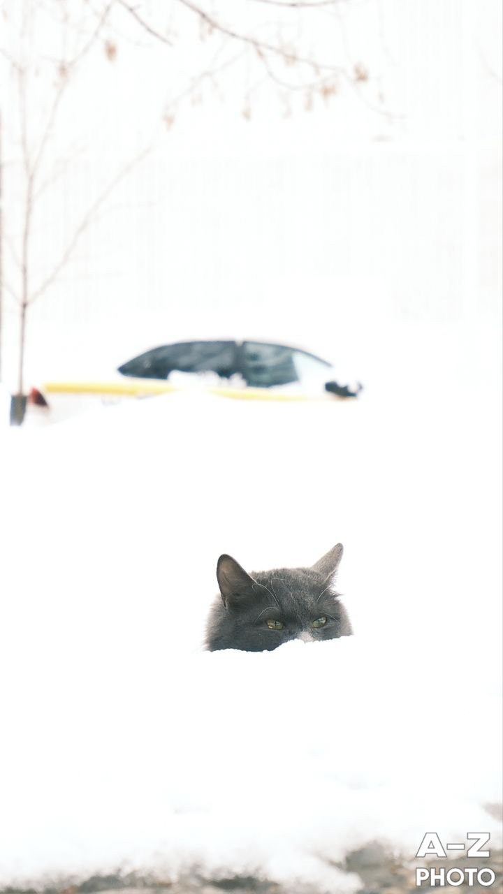 #ФОТОНЕДЕЛИ 15.02.2026. Женский семейный фотограф Тула Москва Захарова Анна