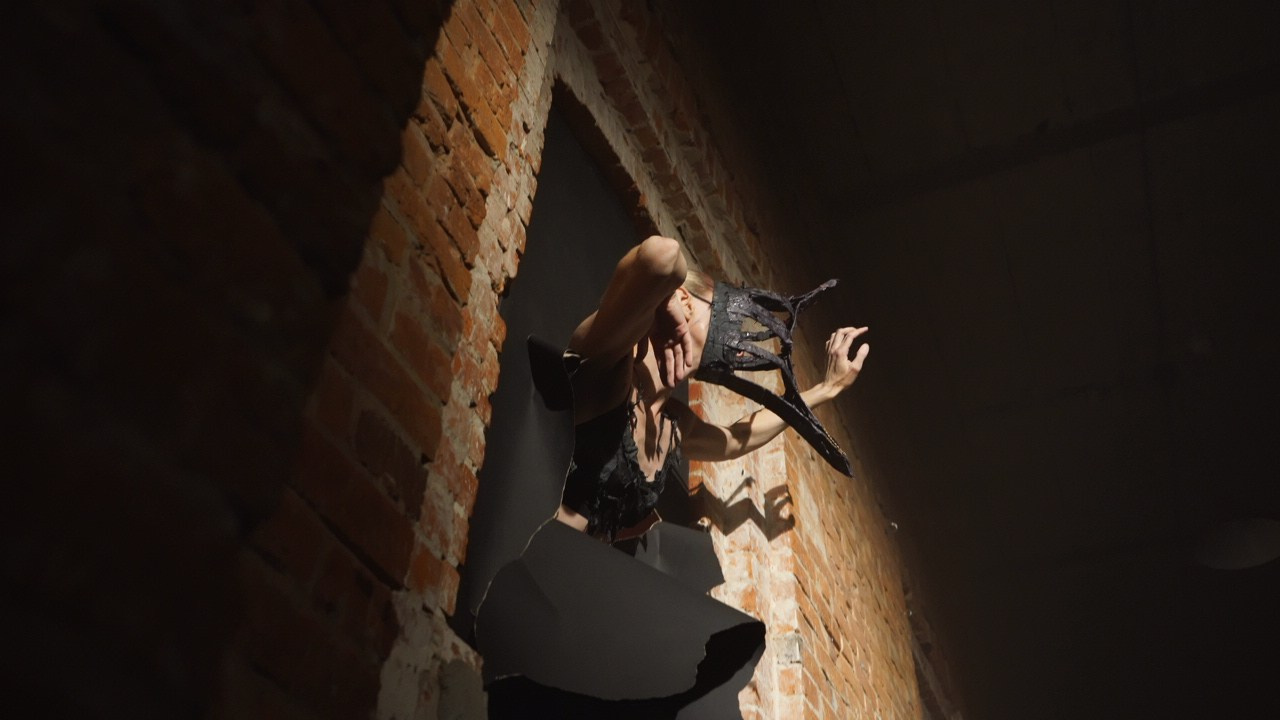 Красное дерево. Фото / Видеосъемка в Москве