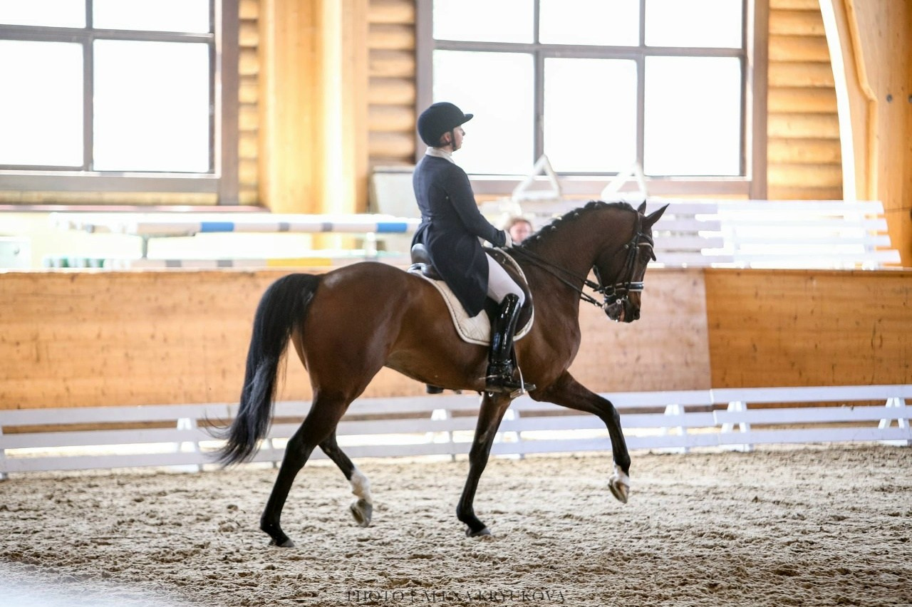 Зимние соревнования. Фотосессии с лошадьми