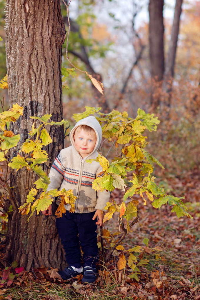 Оксаночка и ее семья (осень). Nadia Fay