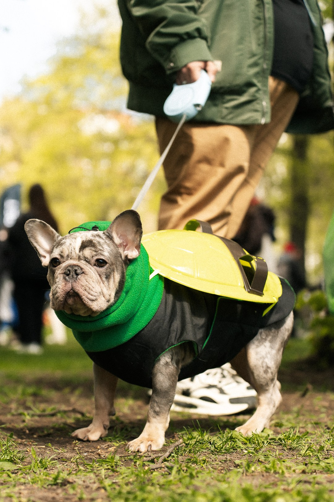 Парад Бульдогов. Axenov_eugene