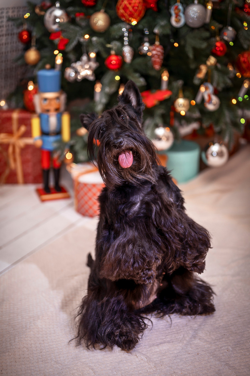 Чара. Семейный и детский фотограф в Канске и Канском р-не, Красноярск и