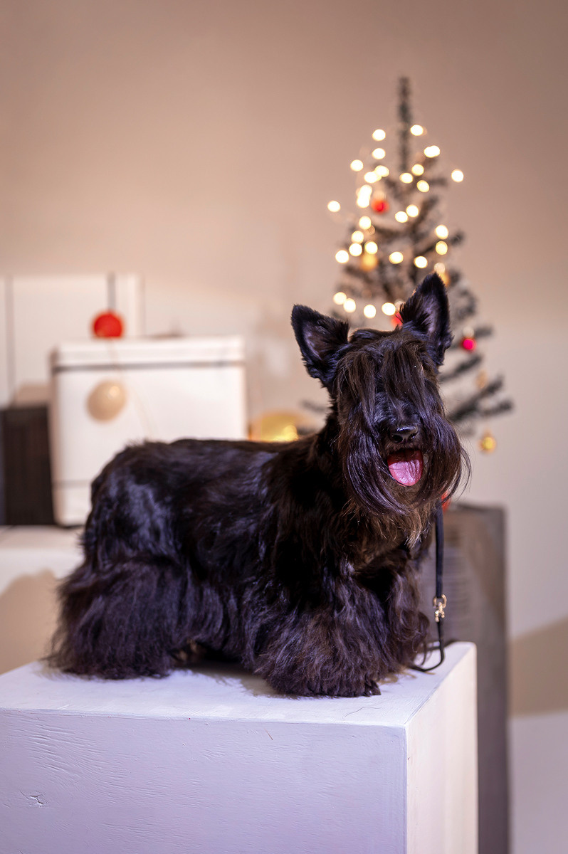 Чара. Семейный и детский фотограф в Канске и Канском р-не, Красноярск и