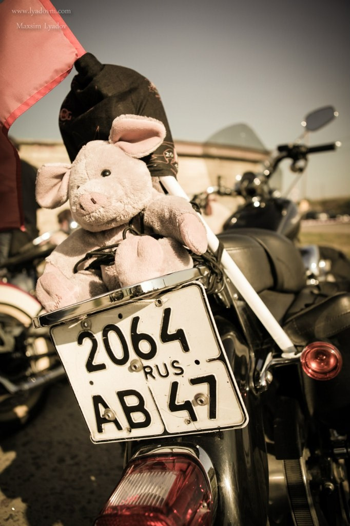 Репортажная съемка. Профессиональный фотограф Иркутск — Максим Лядов