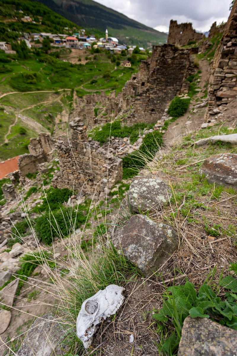 Аул Кахиб. Photomantis