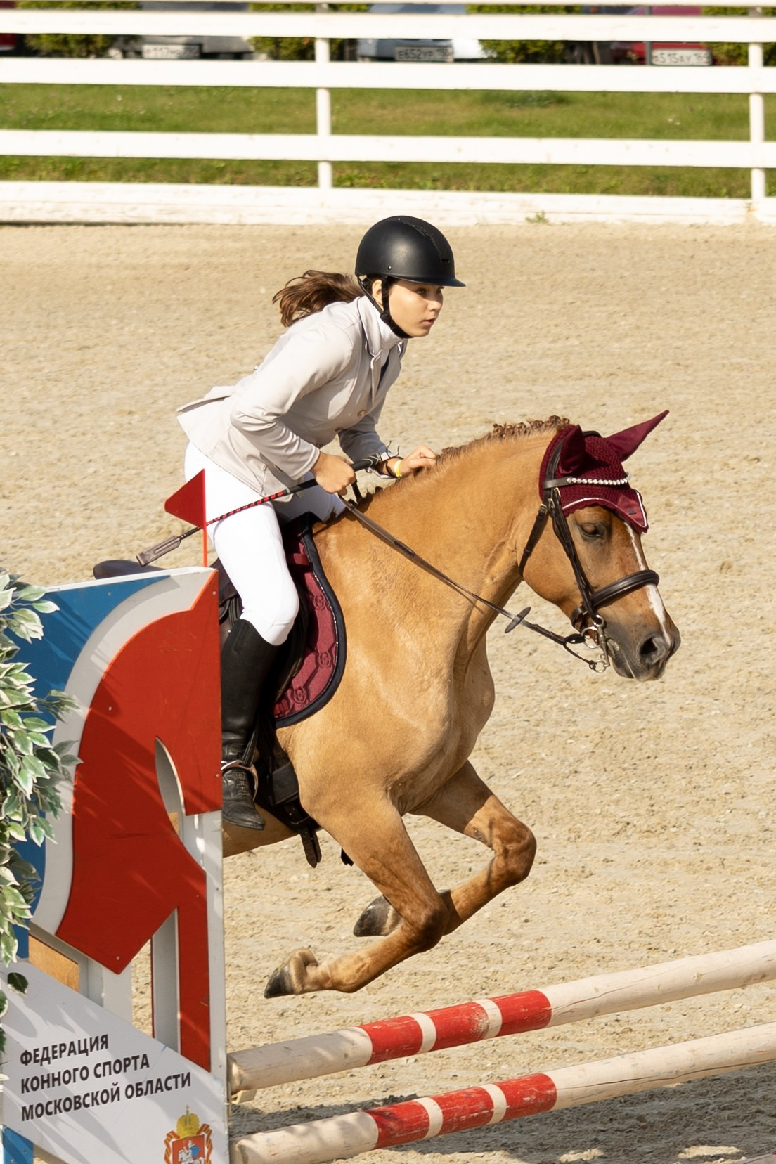 Соревнования по конкуру. Фотограф в Москве Светлана Богначева