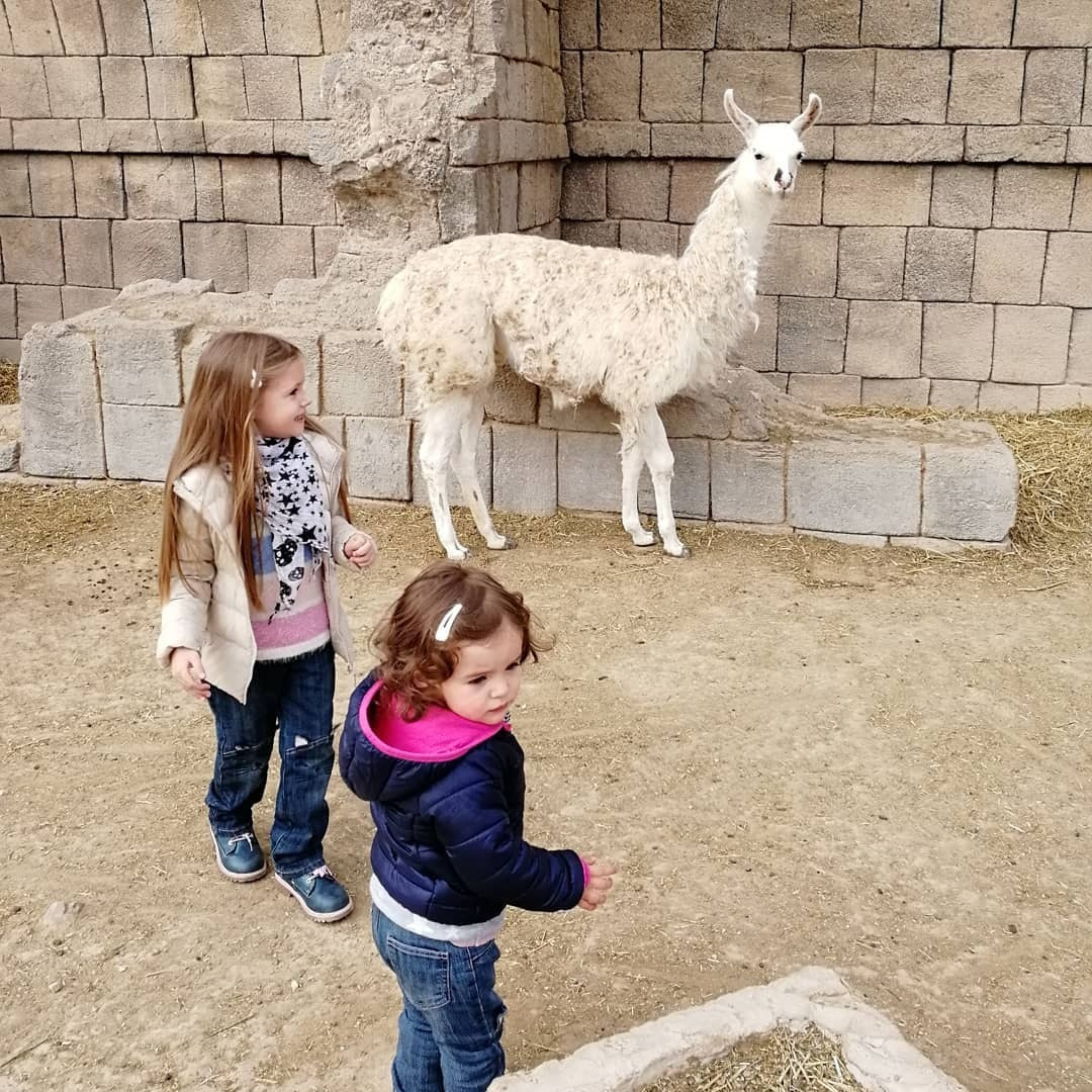 Anka`s Instagram. Заставка