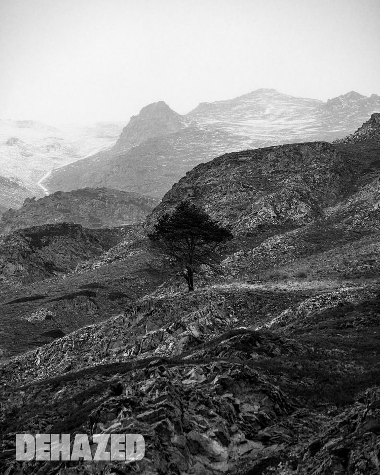 DEHAZED. Фотографии Лены Соколовой