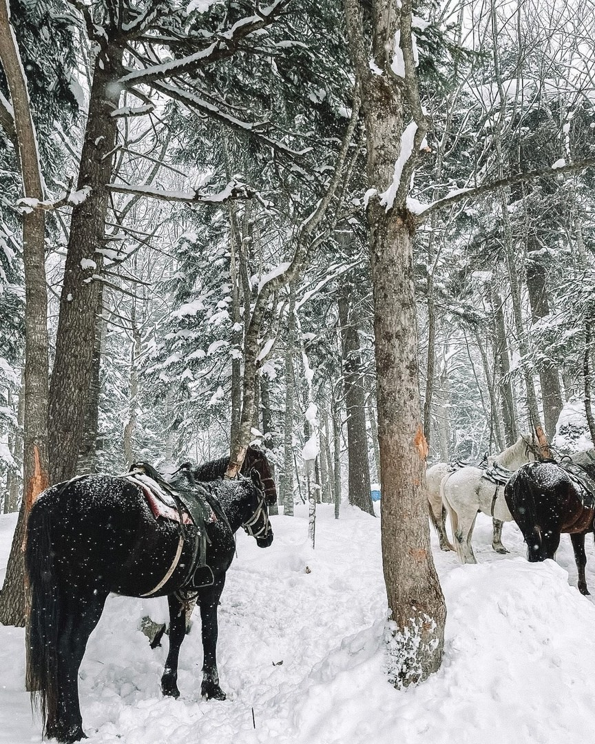 Адыгея. Александра Мельниченко/ Бегающий фотограф