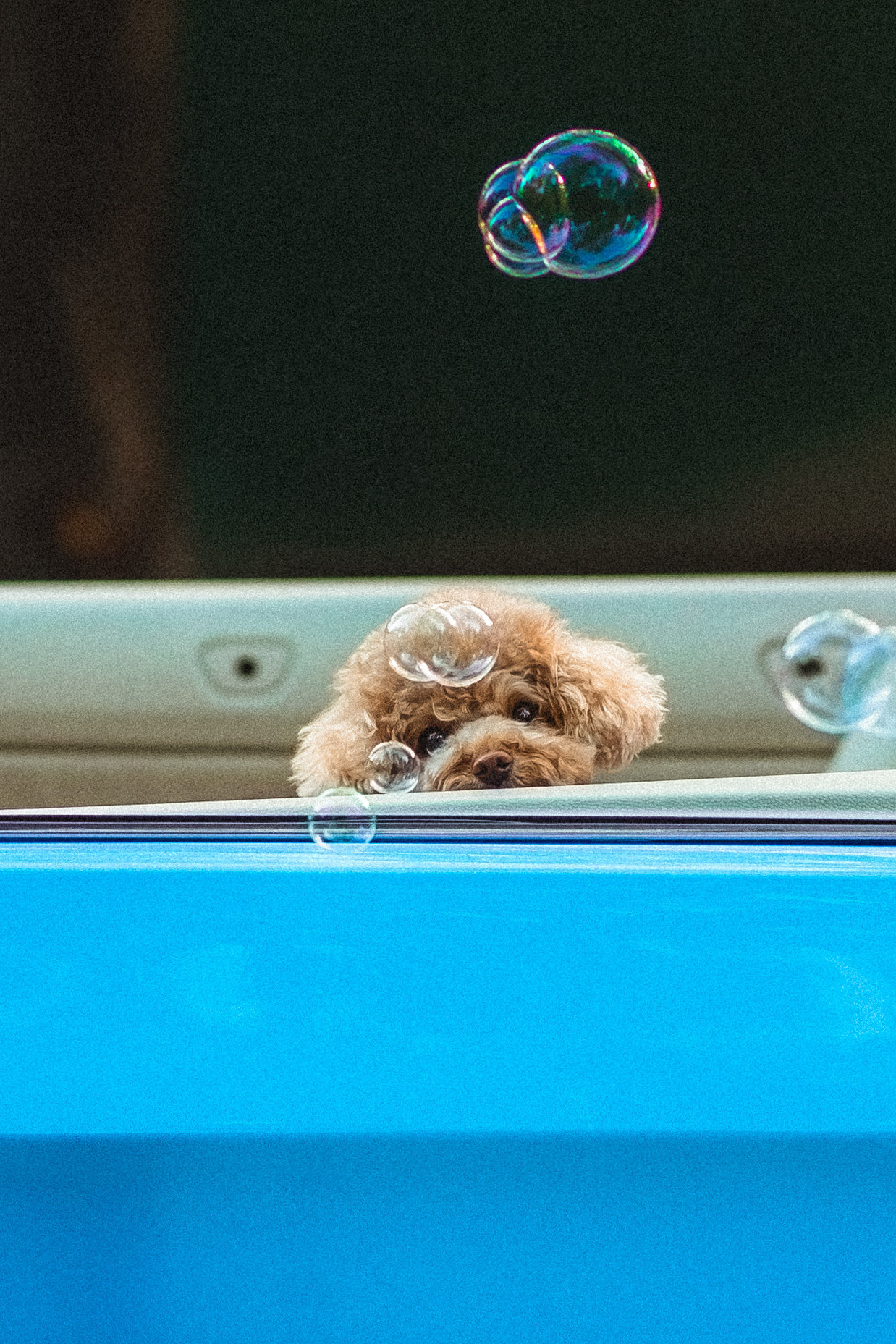 Даша и Глаша