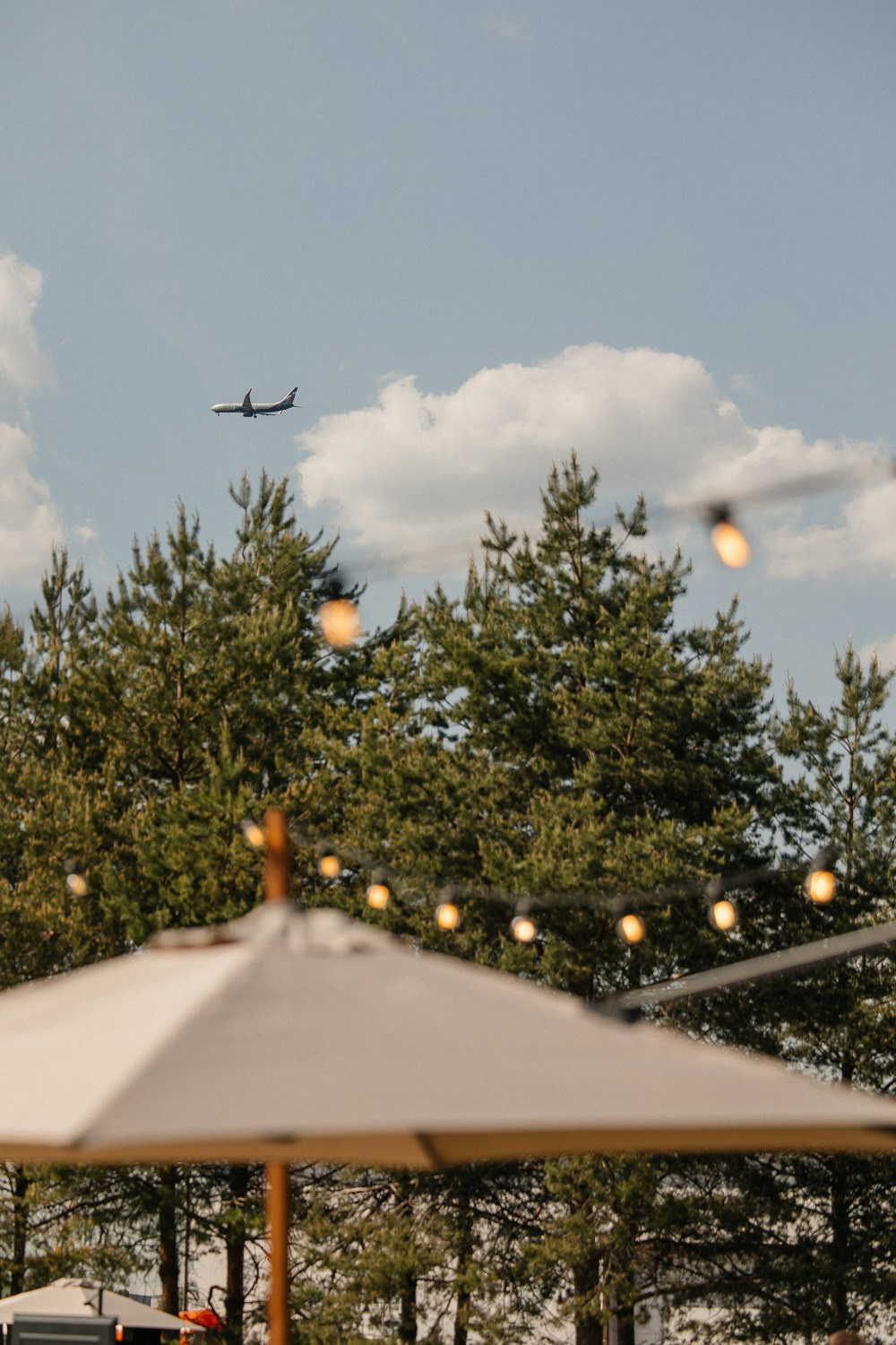 Ever Near. Свадебный фотограф Москва