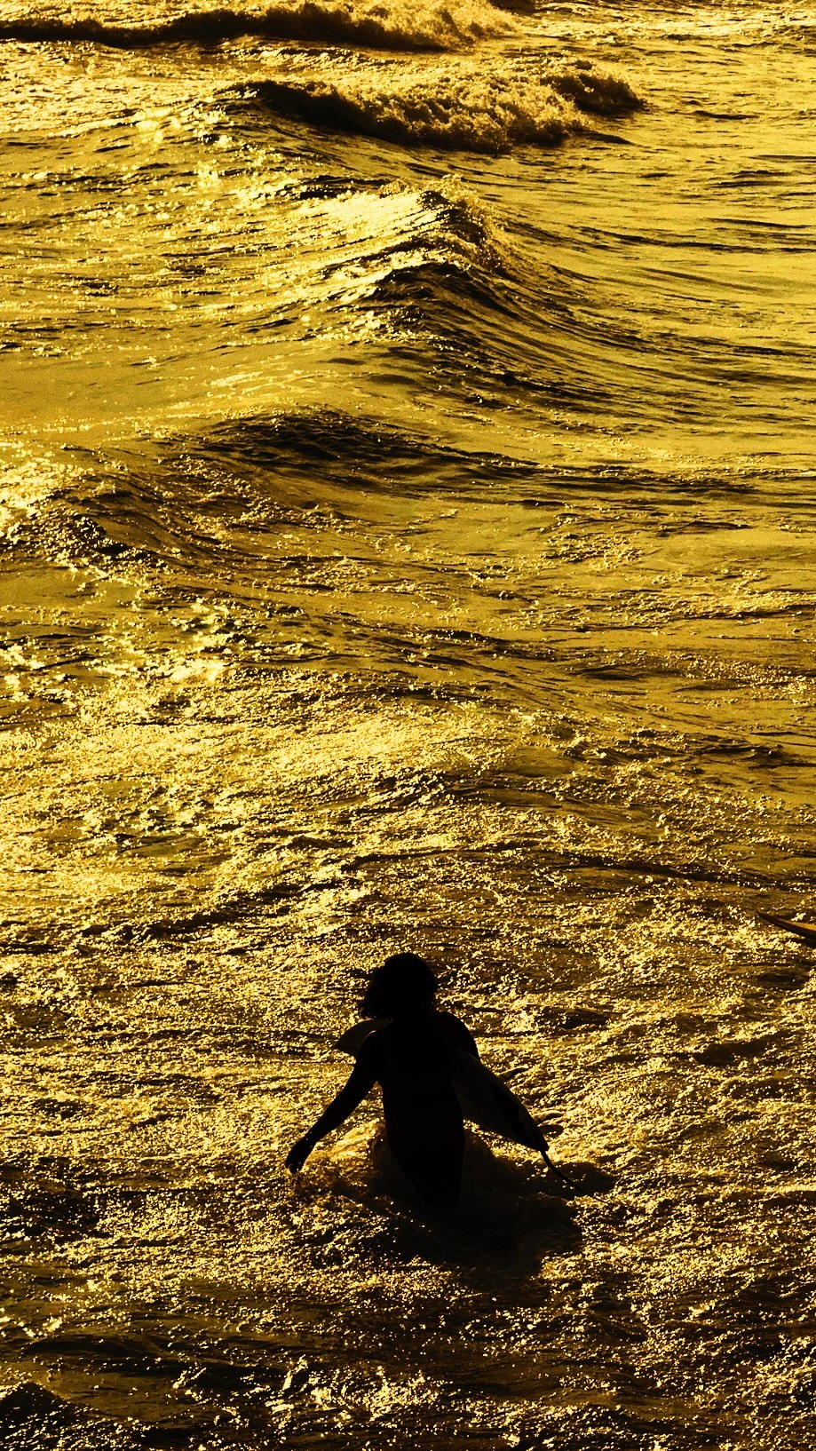 SURFING. Carolinetru